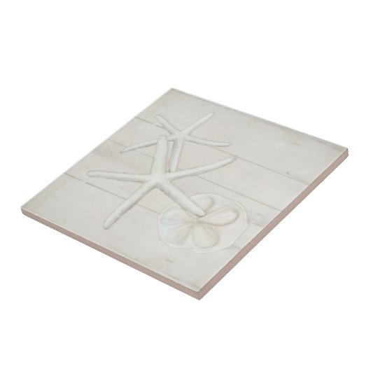 Bloemstaarvis Sanddollar Shells White Washwood Tegeltje (Zijkant)