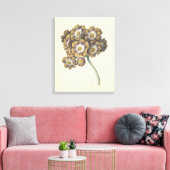 Bloemstudie, Maria Margaretha van Os, 1790 - 1862 Canvas Afdruk (Insitu (Woonkamer))