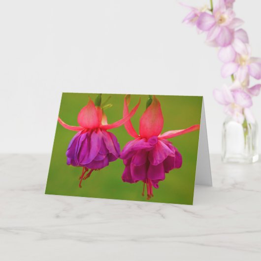 Bloemstuk voor zus met kanker voor aanmoediging kaart (Orchidee)
