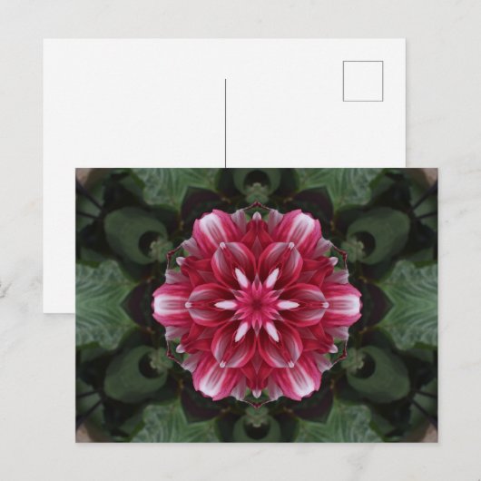 Bloemsymfonie Briefkaart (Voorkant / Achterkant)