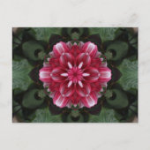 Bloemsymfonie Briefkaart (Voorkant)