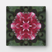 Bloemsymfonie Fotoplaat (Voorkant)