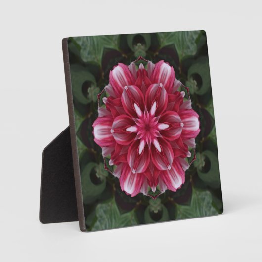 Bloemsymfonie Fotoplaat (Voorkant)