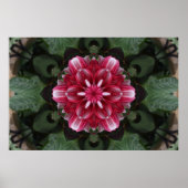 Bloemsymfonie Poster (Voorkant)
