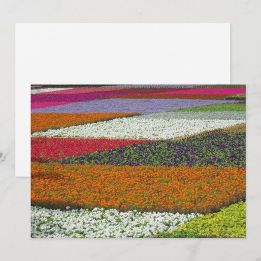 Bloemtapijt Feestdagenkaart (Voorkant / Achterkant)