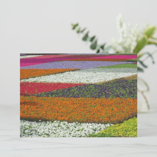 Bloemtapijt Feestdagenkaart (Staand voorkant)