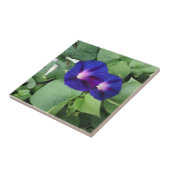 Bloemtegels van keramiek tegeltje (Zijkant)