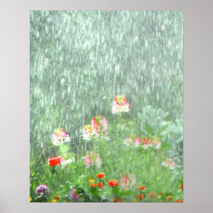 Bloemtuin in het Poster van de Regen