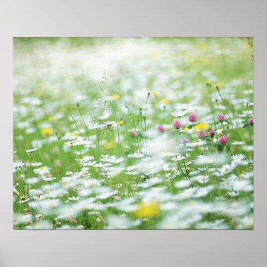 Bloemtuin Poster (Voorkant)