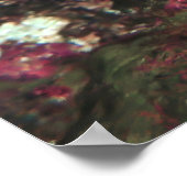 Bloemtuinen Moray Poster (Hoek)