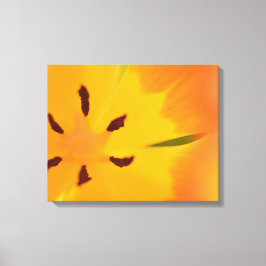 bloemtulp canvas afdruk