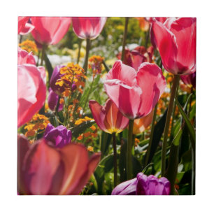 Bloemtulpen keramische tegel tegeltje