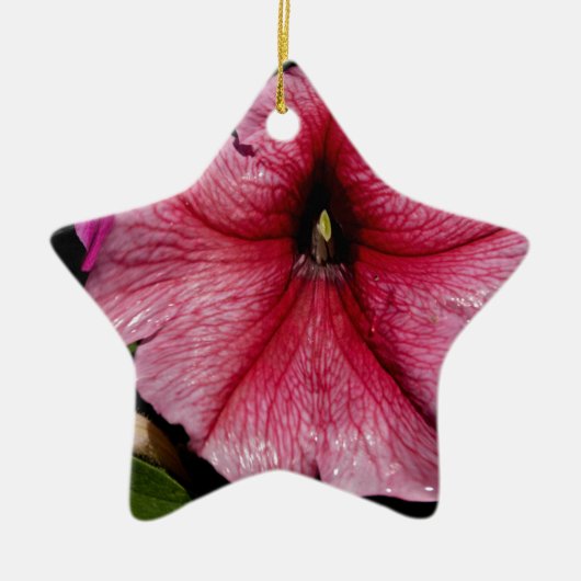 Bloemuitbarsting Keramisch Ornament (Voorkant)