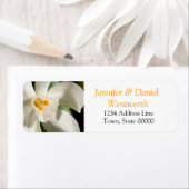 Bloemvaten Adresetiketten Witte Lily Etiket (Insitu)