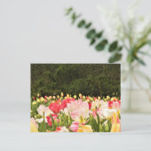 Bloemveld Briefkaart (Staand voorkant)