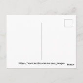 Bloemveld Briefkaart (Achterkant)