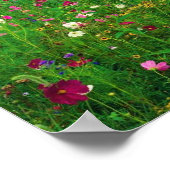 Bloemveld Kentucky Poster (Hoek)