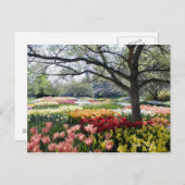 Bloemveld op een lenteochtend briefkaart (Voorkant / Achterkant)