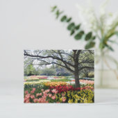 Bloemveld op een lenteochtend briefkaart (Staand voorkant)