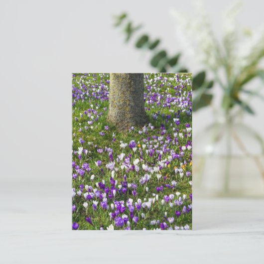 Bloemveldkussen met lentesgras met bomen briefkaart (Staand voorkant)