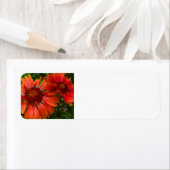 Bloemventilator Etiket (Insitu)