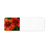 Bloemventilator Etiket (Voorkant)