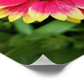 Bloemventilator Poster (Hoek)