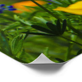 bloemvermogen poster (Hoek)