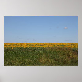 Bloemvervaging Poster