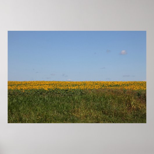 Bloemvervaging Poster (Voorkant)