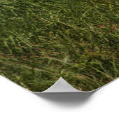 Bloemvervaging Poster (Hoek)