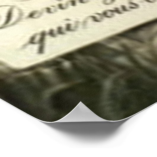 Bloemvis Cornucopia Poisson d'avril Poster (Hoek)