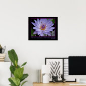 Bloemvlakken Zen Proverb Paars Water Lily & Bee Poster (Thuiskantoor)