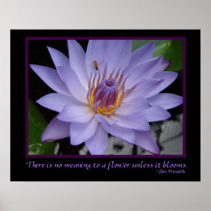 Bloemvlakken Zen Proverb Paars Water Lily & Bee Poster