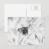 Bloemvlies - zwart en wit briefkaart (Voorkant / Achterkant)