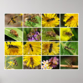 Bloemvliezen Poster (Voorkant)