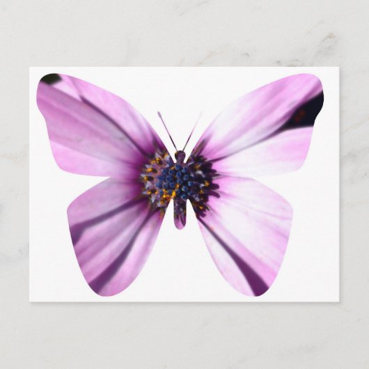 Bloemvlinder Briefkaart (Voorkant)