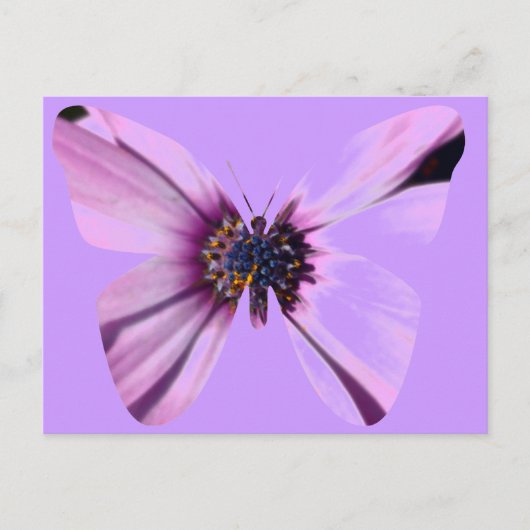 Bloemvlinder Briefkaart (Voorkant)