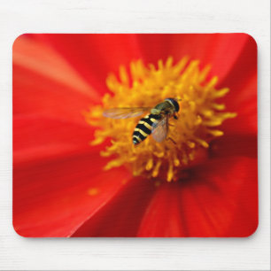 Bloemvlucht Muismat