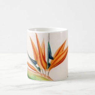 Bloemvogel met  paradijzen, geïllustreerd koffiemok