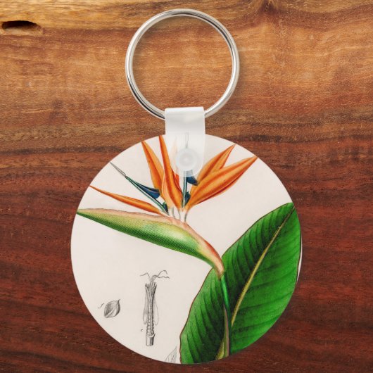 Bloemvogel met paradijzen, geïllustreerd sleutelhanger (Voorkant)