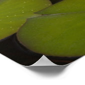 Bloemwaterlappen Poster (Hoek)