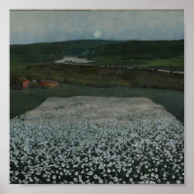 Bloemwei in het Noorden - Fine Art Print