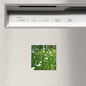 Bloemweide Magneet (Insitu (Vaatwasser))