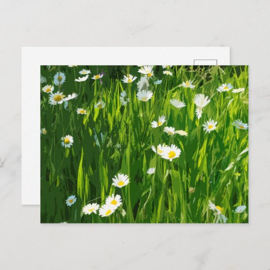 Bloemweide Uitnodiging Briefkaart (Voorkant / Achterkant)