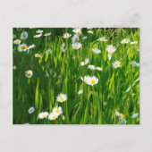 Bloemweide Uitnodiging Briefkaart (Voorkant)