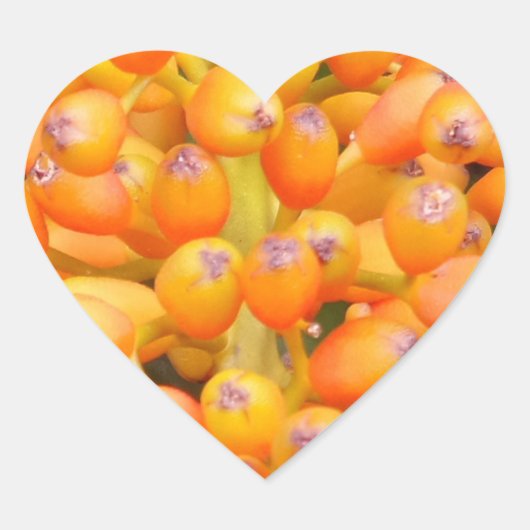 Bloemzaad Heart Sticker (Voorkant)