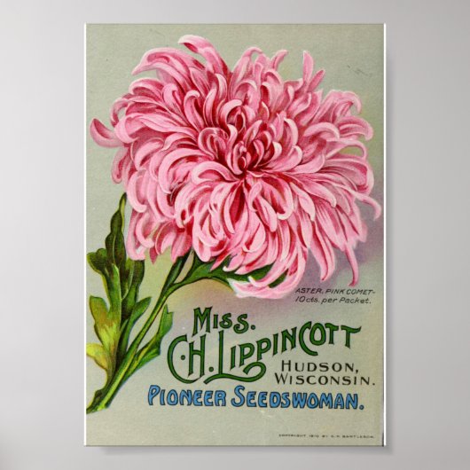 bloemzaadpakket, Circa 1911 Poster (Voorkant)