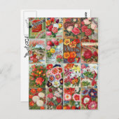 bloemzaadpakketten Tuinkraakbedekking Briefkaart (Voorkant / Achterkant)