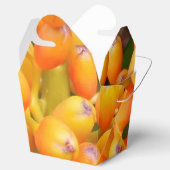 Bloemzaden nemen uit de gunst doos bedankdoosjes (Geopend)